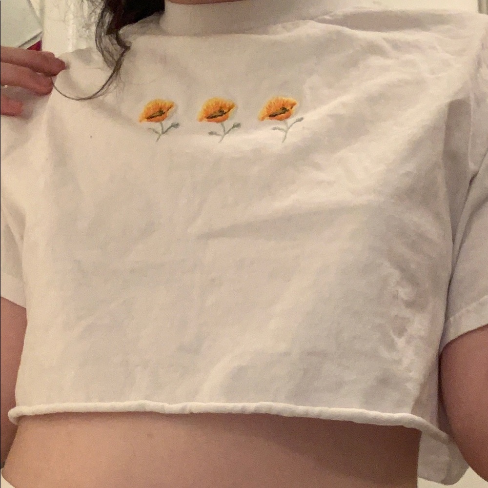 brandy crop top